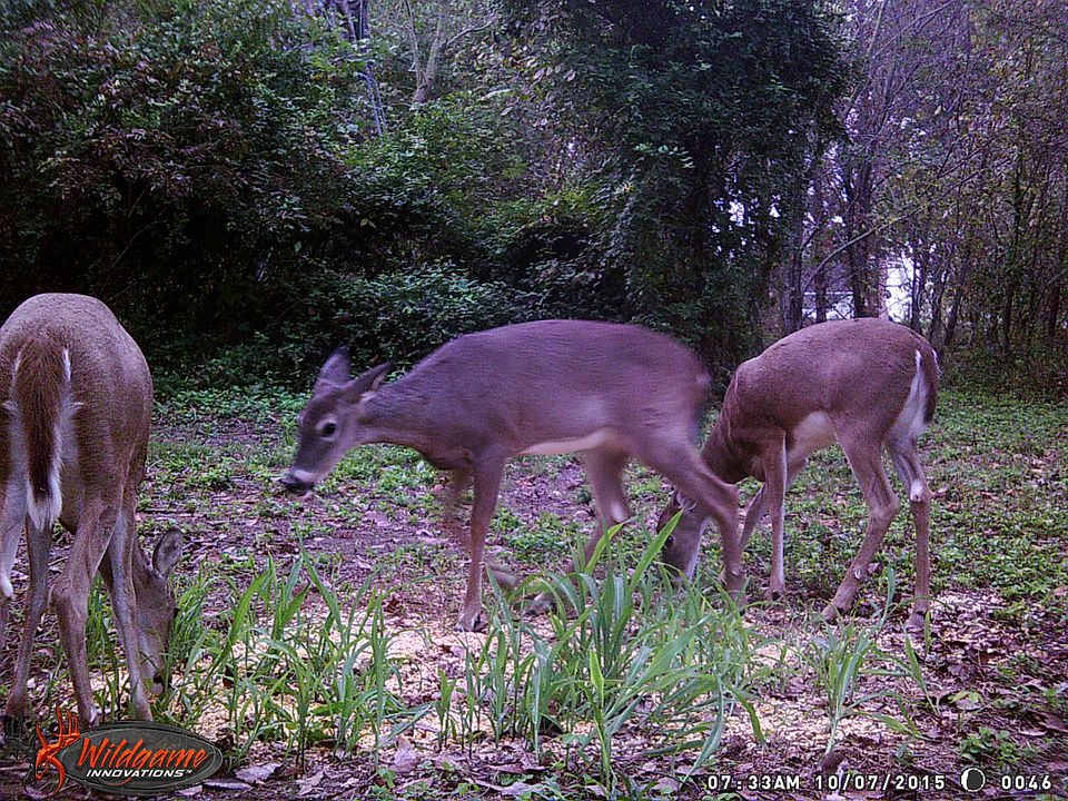 2nd image of County Ln 227