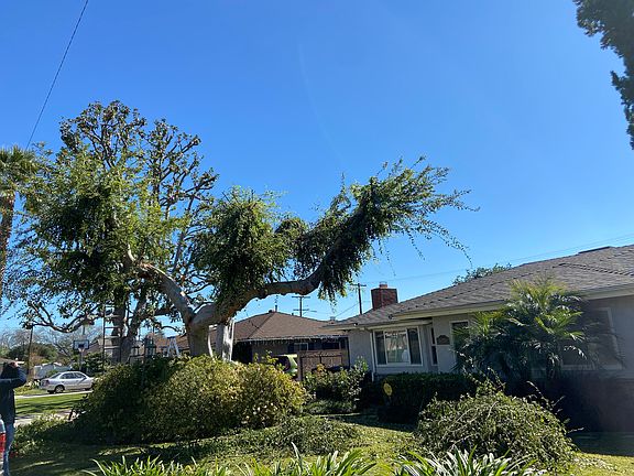 2nd image of 9178 Jaylee Dr