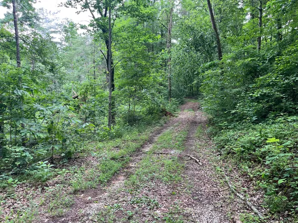 0 Pine Branch Rd, Burkesville, KY 42717