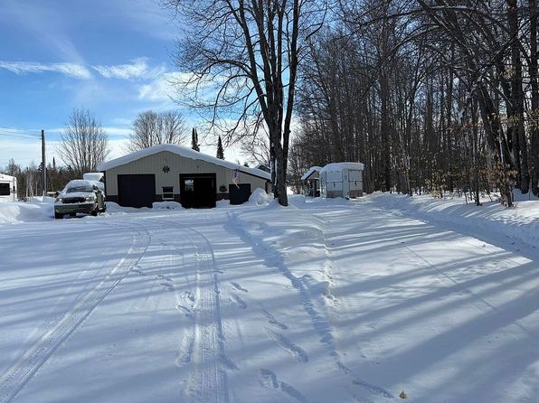 33070 W Birch Shores Dr, Trout Lake, MI 49793
