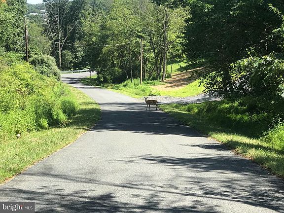 4th image of 1244 Buck Dr
