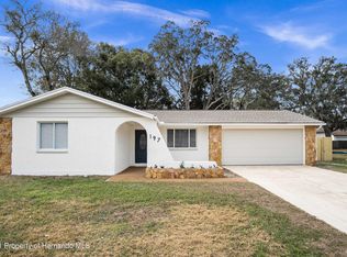 197 Rosedale Ave, Spring Hill, FL 34606