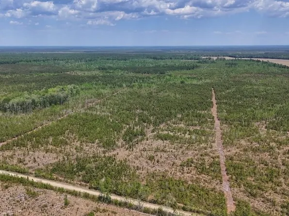 LOT 12 Guinea Mill Rd, Ernul, NC 28527