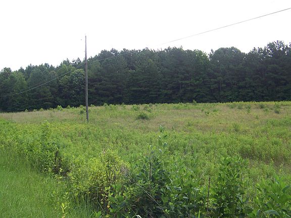 2nd image of 5534 Tabbs Creek Church Lane Lot 1 #3-2