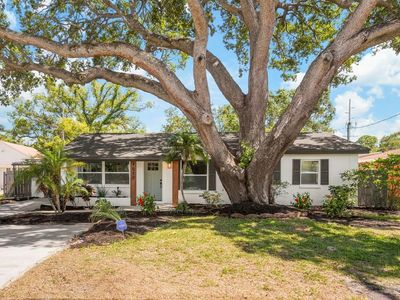 4012 W Pearl Ave, Tampa, FL, 33611