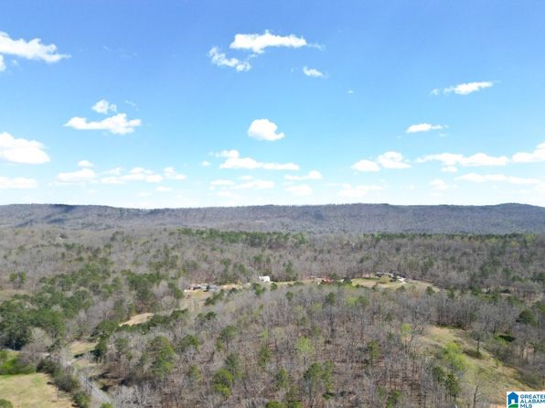 1931 Red Valley Rd, Remlap, AL 35133