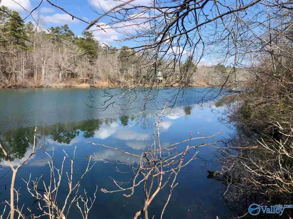 13040 County Road 103, Mentone, AL 35984