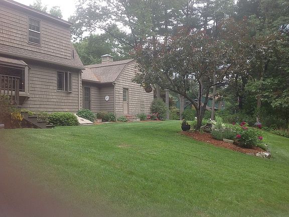 Back yard