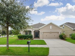 15713 Courtside View Dr, Lithia, FL 33547