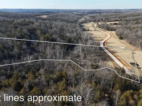 LOT 1 Hematite Farms Rd, Festus, MO 63028