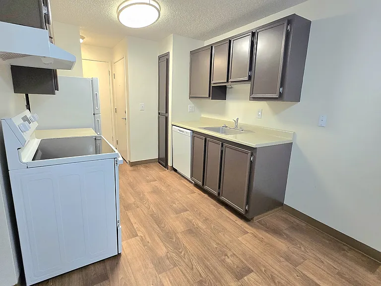 1x1 700sqft- Kitchen