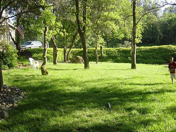 Front Lawn