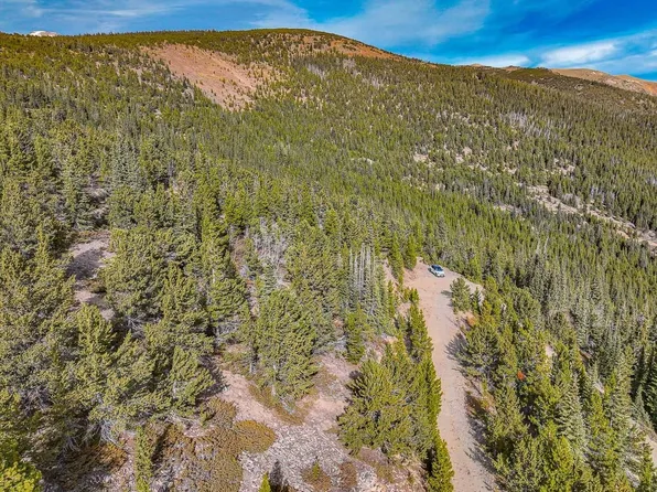 111 Hilltop Rd, Idaho Springs, CO 80452