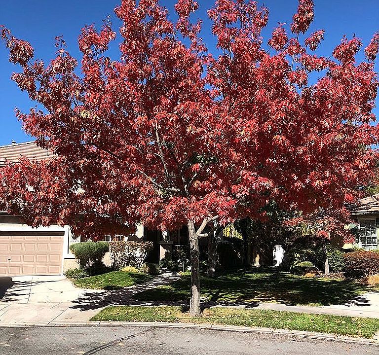 1st image of 6390 Black Deer Ct