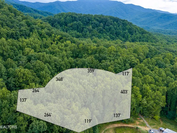 Emilyville Way, Cosby, TN 37722