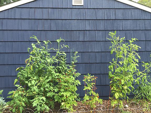 3rd image of 1230 Old Orchard Ln