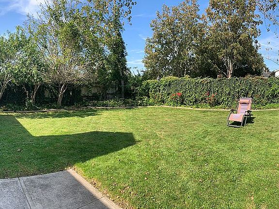 Back yard - ivy walls