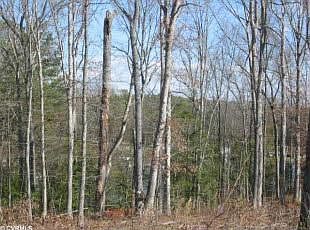 2nd image of 19971 Chesdin Harbor Dr