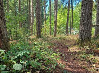 18410 Rampart Ct SE LOT 53, Yelm, WA 98597