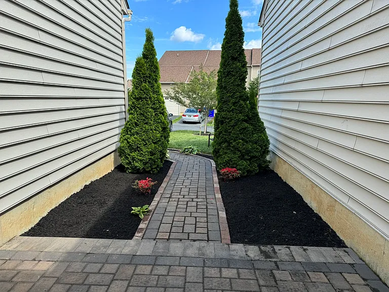 Patio/Garden bed