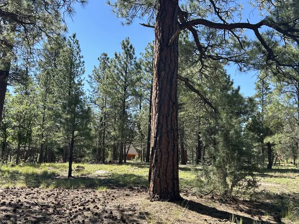 4978 Durango Dr, Happy Jack, AZ 86024