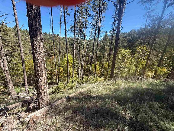 4th image of 5212 Wind River Rd