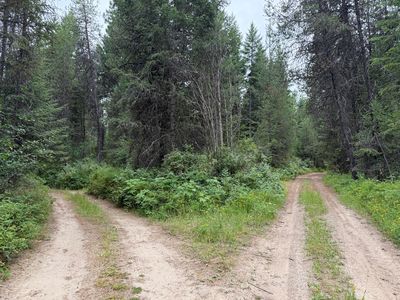 LOT 1 Springdale Hunters Rd, Springdale, WA, 99173