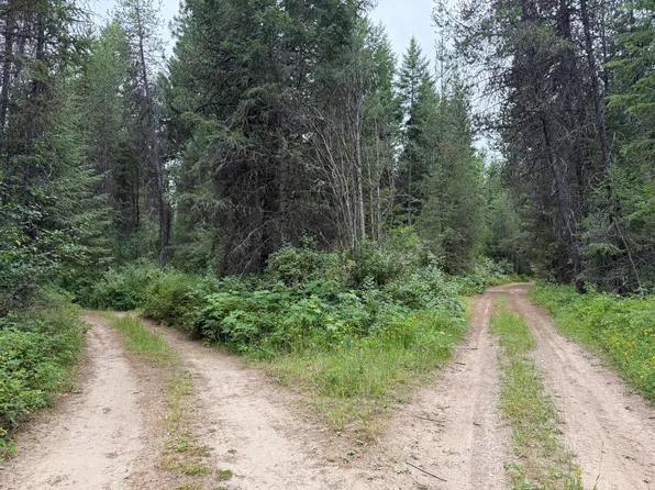 LOT 1 Springdale Hunters Rd, Springdale, WA 99173