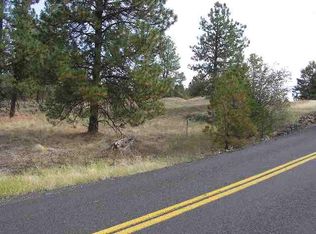 17100B W Williams Lake Rd, Cheney, WA 99004