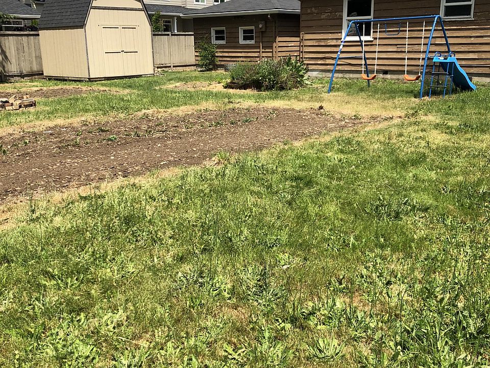 Back yard