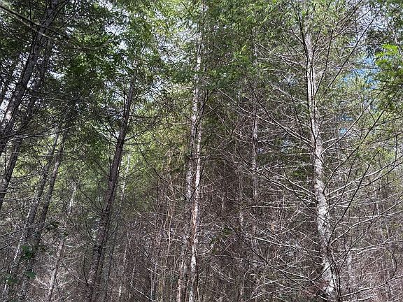 2nd image of 0 Boiler Creek Rd