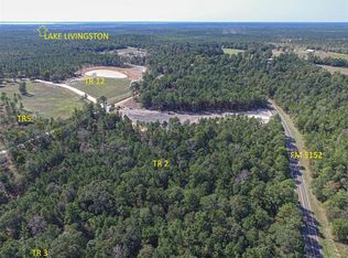 5 Lucky 13 Rd, Livingston, TX 77351