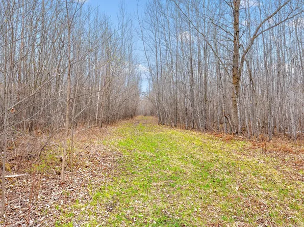0 104th St NE, Remer, MN 56672