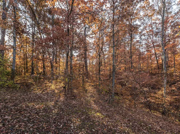 Oglesby Rd, Knoxville, TN 37914