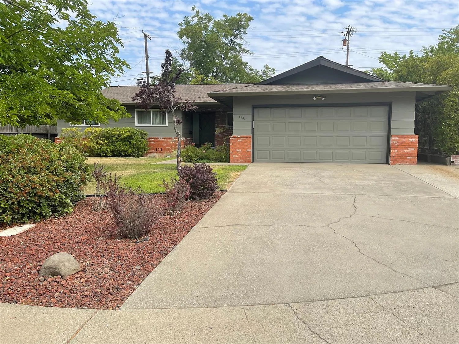 1803 Tanglewood Ln photo 1