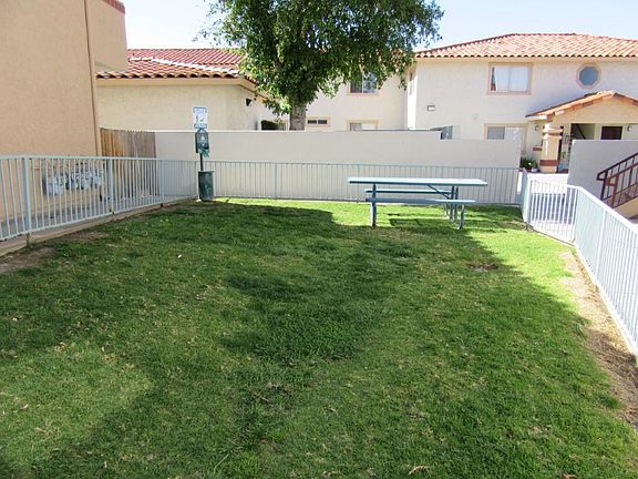 Animal Play Area