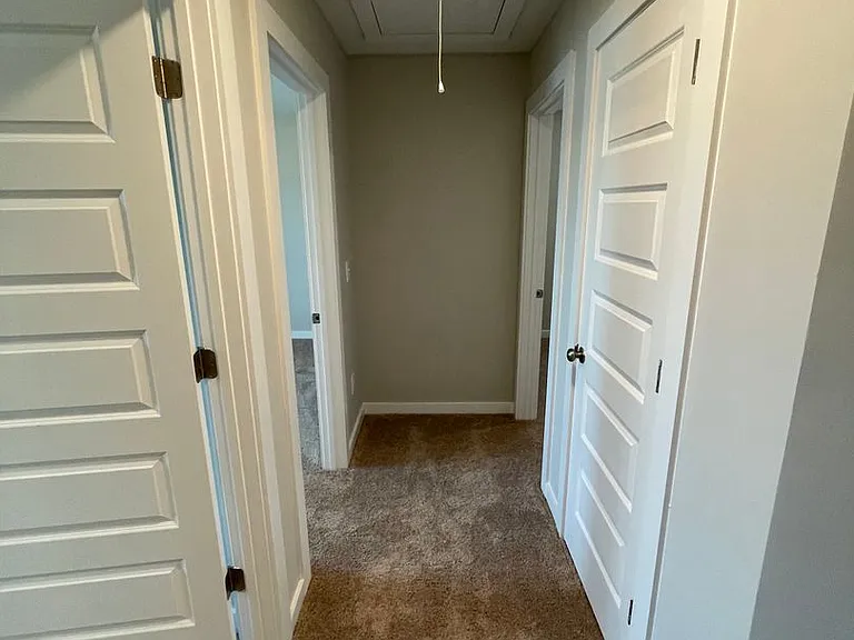294 Shiloh Creek Dr — Photo 28