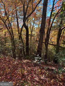 0 Tessentee Woods Rd, Franklin, NC, 28734