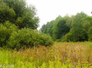 45 N Spruce Ave, White Cloud, MI 49349