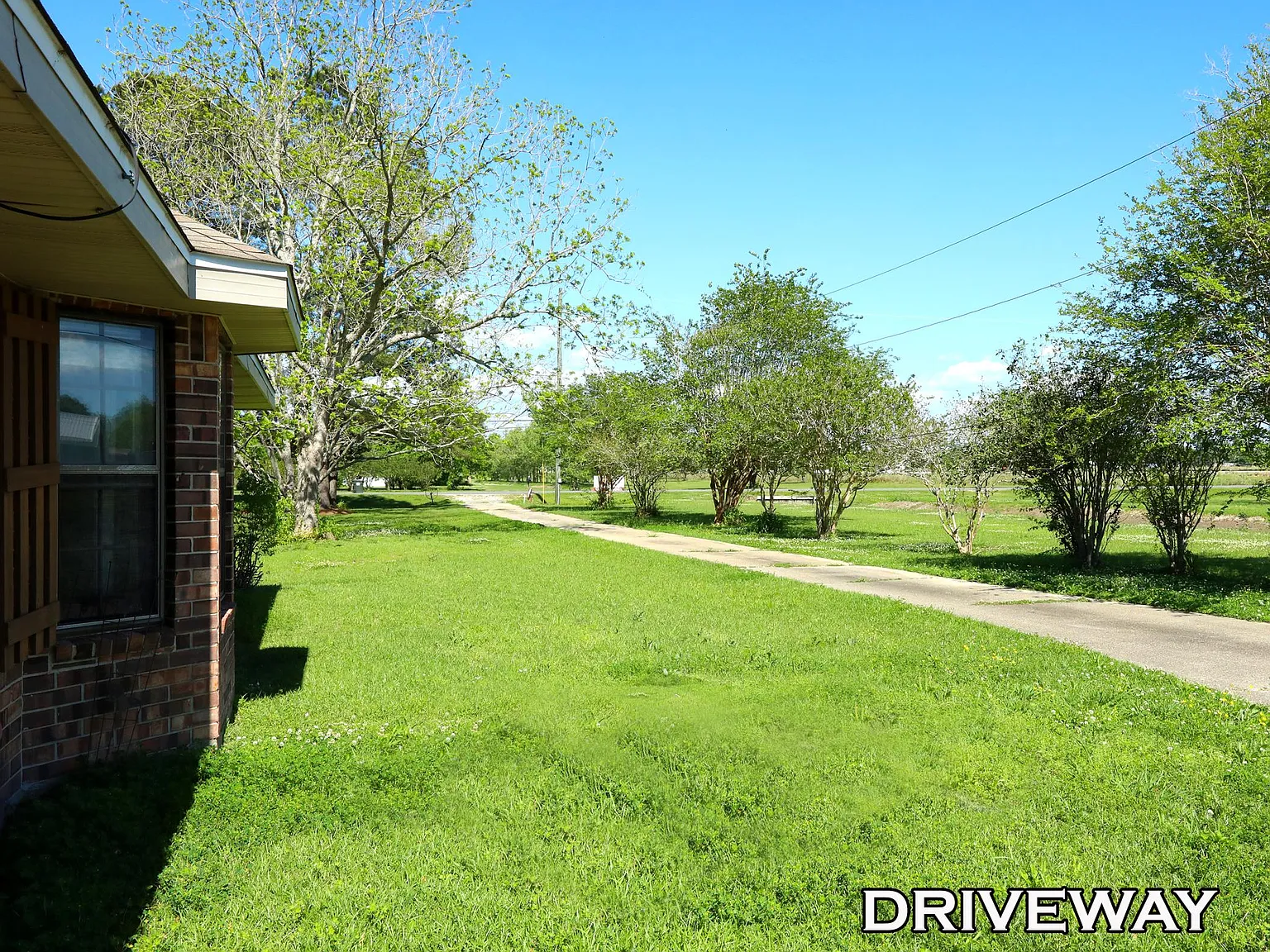 3 bed, 1700 sqft, $2,000 — Photo 4