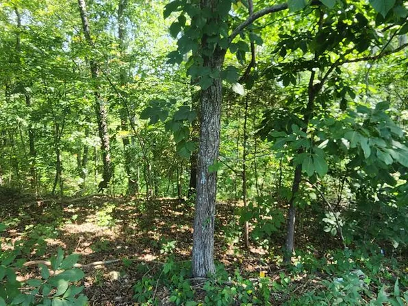 0 Marina Ridge Rd, Holladay, TN 38341
