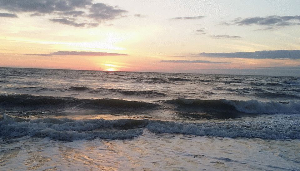 Parkshore Beach access 