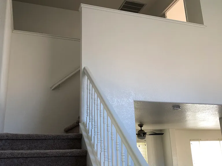 8742 Weeping Birch Ln — Photo 16