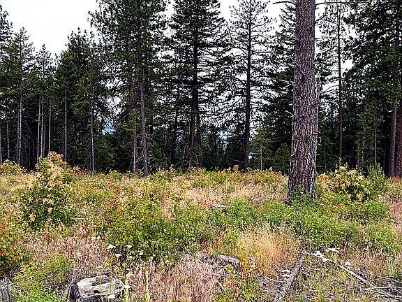 4th image of LOT 2 Dollar Creek Dr