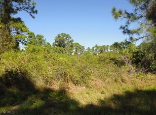 927 Fern St E, Lehigh Acres, FL 33974