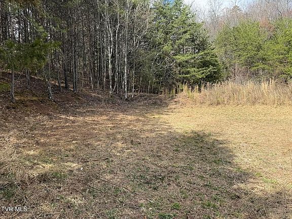 2nd image of 0 Dyer Hollow Rd