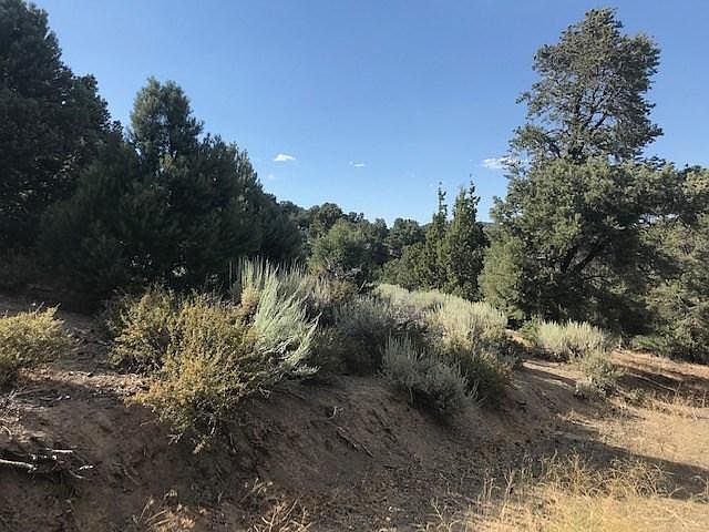 2nd image of 2070 Alpine Rd