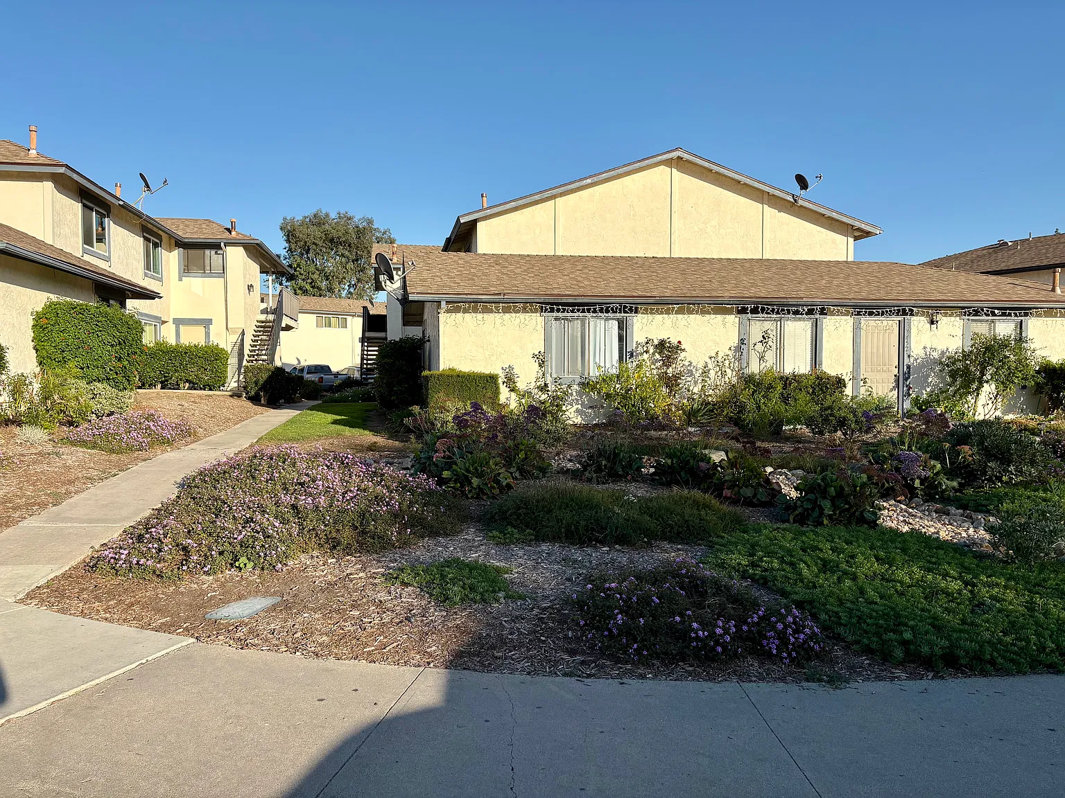 3 bed, 1110 sqft, $3,195 — Photo 1