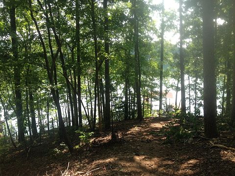4th image of 7035 Haw Creek Pl Lot 321