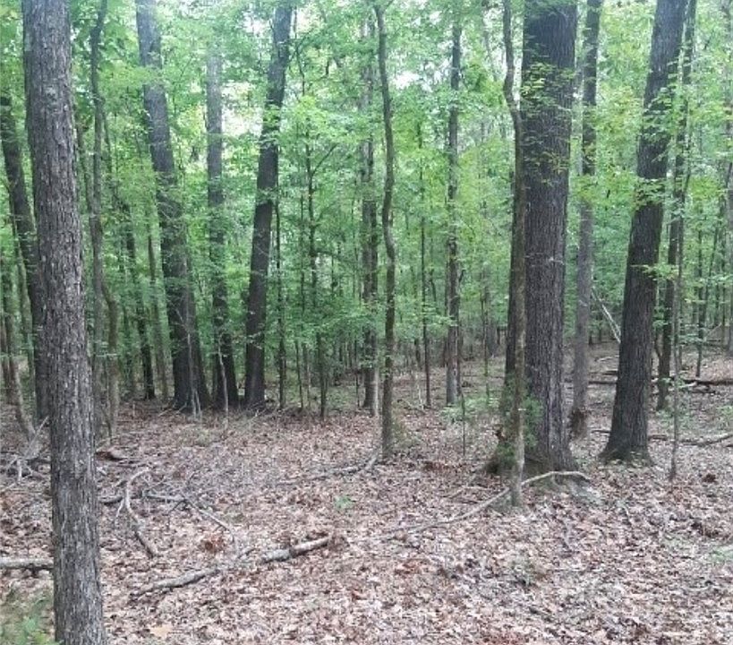 2nd image of 0 Lone Eagle Way Lot 19